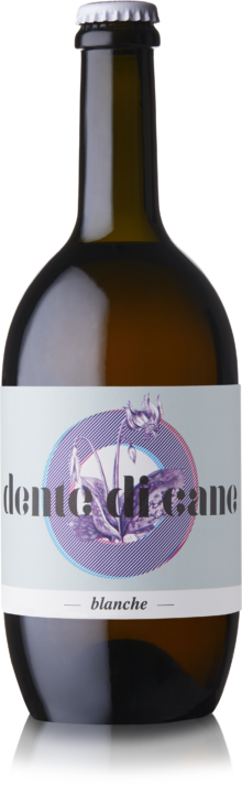 Dente di cane