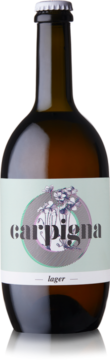 Carpigna